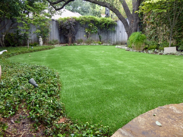 Grass Carpet Snowflake, Arizona Lawns, Backyards