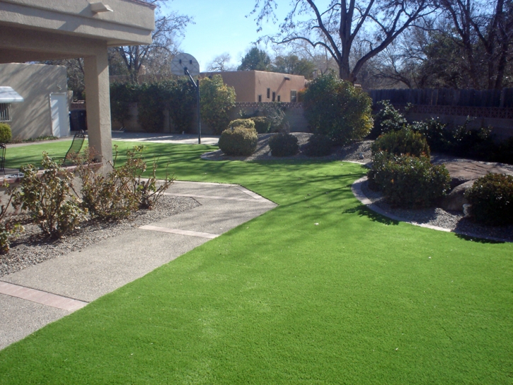 Grass Carpet Tonto Basin, Arizona Lawn And Garden, Landscaping Ideas For Front Yard