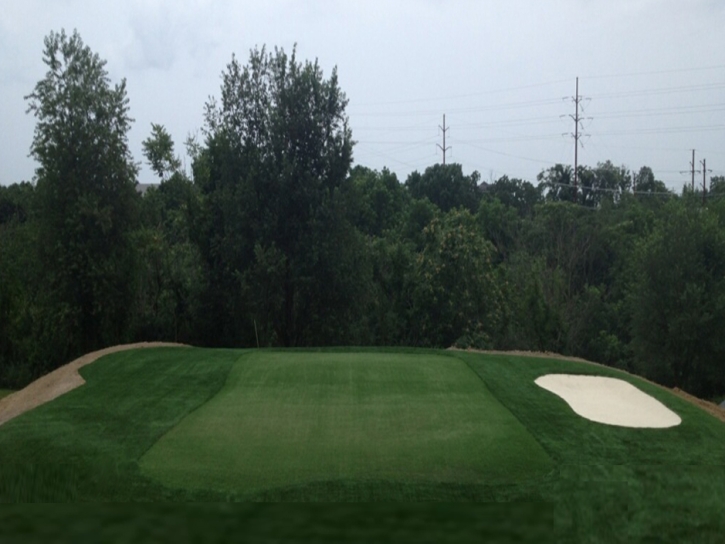 Grass Carpet Tubac, Arizona Office Putting Green, Backyard Landscaping Ideas