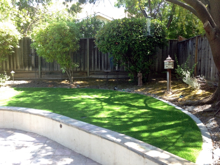 Grass Carpet Vail, Arizona Landscape Design, Commercial Landscape