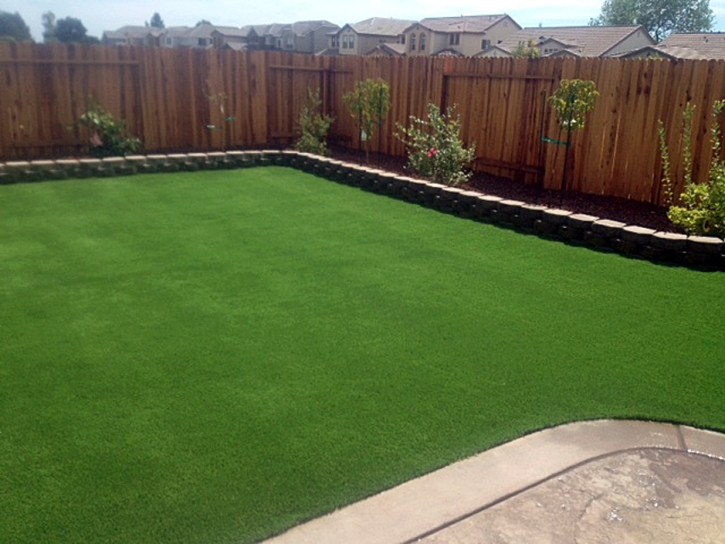 Grass Carpet Whetstone, Arizona Landscape Photos, Backyard Makeover