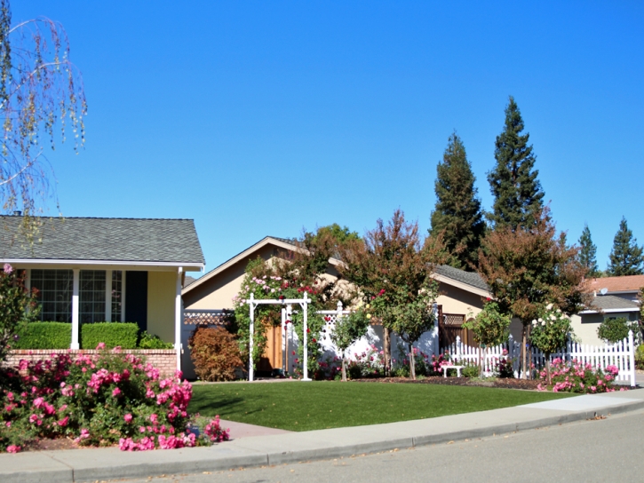 Grass Carpet Wilhoit, Arizona Garden Ideas, Front Yard Ideas