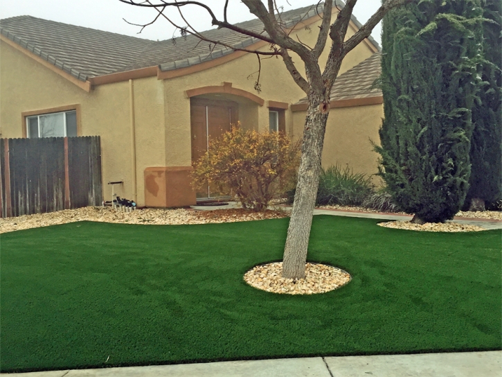 Grass Installation Christopher Creek, Arizona Gardeners, Front Yard Ideas
