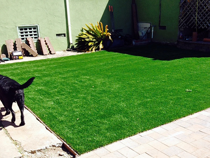 Grass Installation Citrus Park, Arizona Roof Top, Backyard Garden Ideas