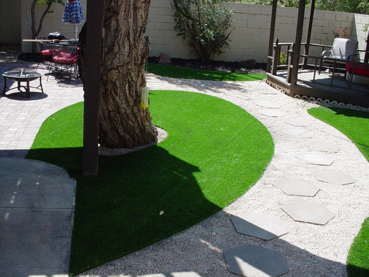 Grass Installation Saint David, Arizona Garden Ideas, Backyard Landscaping