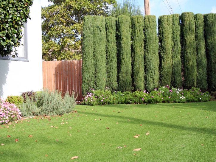 Grass Installation Scottsdale, Arizona Landscaping, Small Front Yard Landscaping