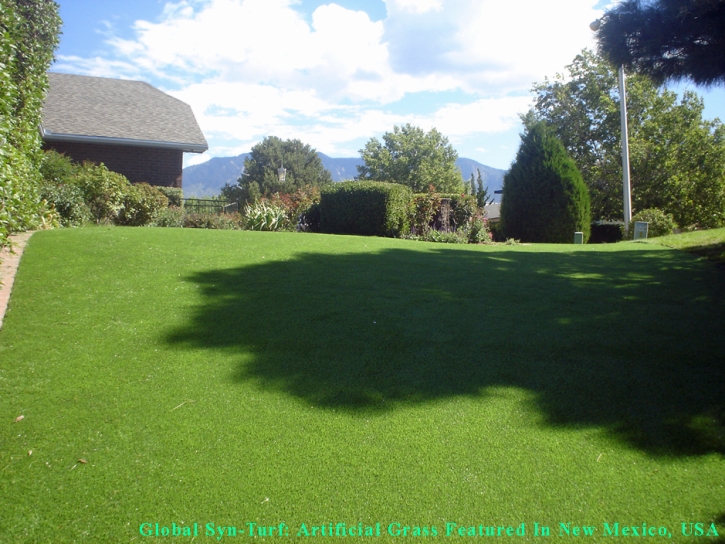 Grass Installation Tempe, Arizona Cat Playground, Backyard Makeover