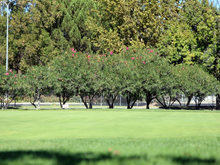 Grass Installation Wickenburg, Arizona Landscape Ideas