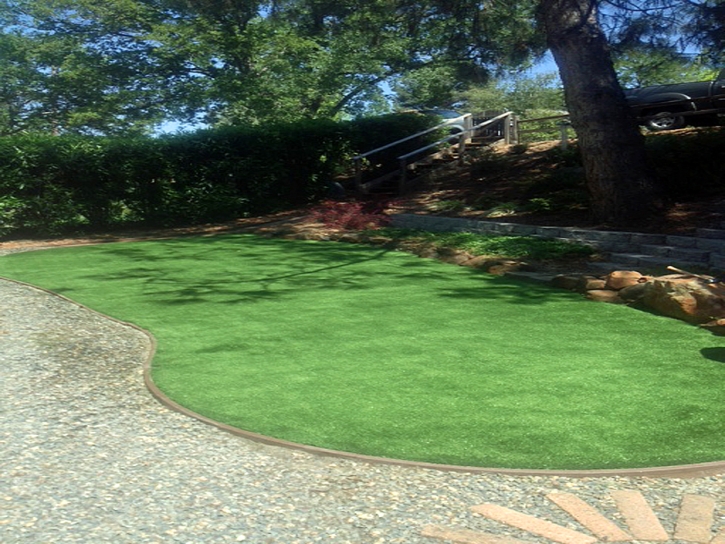 Grass Installation Winslow West, Arizona Landscape Rock, Small Backyard Ideas