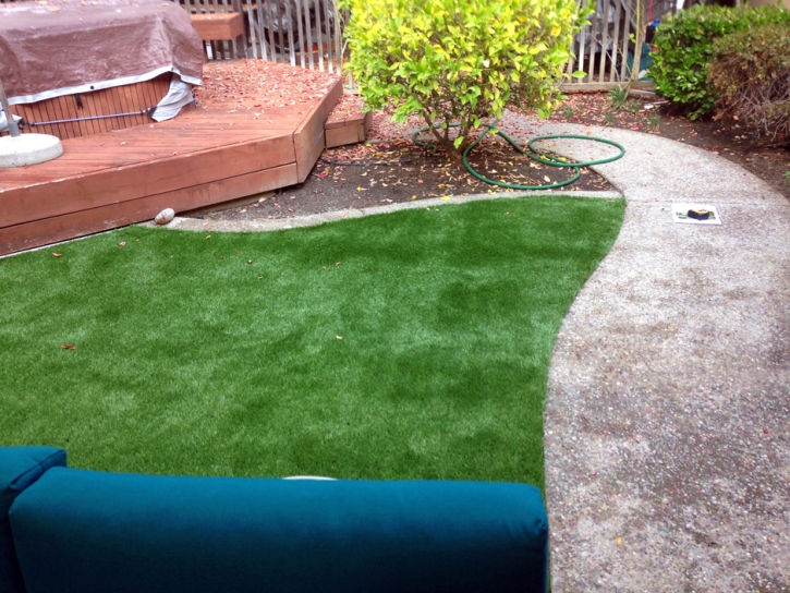 Grass Turf Antares, Arizona Lawns, Backyards