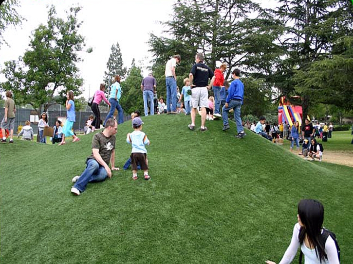 Grass Turf Anthem, Arizona Athletic Playground, Recreational Areas