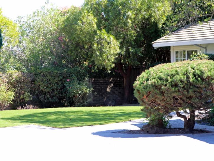 Grass Turf Dilkon, Arizona City Landscape, Front Yard Design