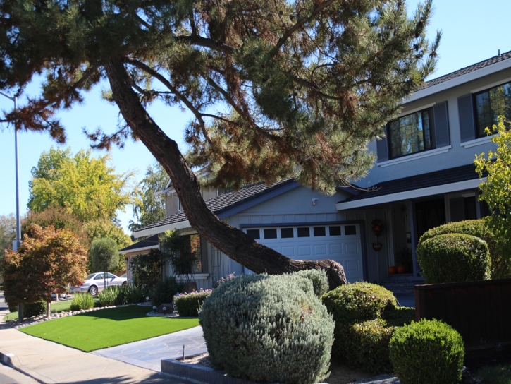 Grass Turf Picacho, Arizona Roof Top, Small Front Yard Landscaping