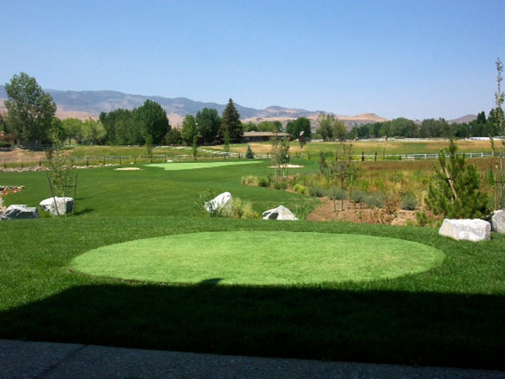 Grass Turf Queen Valley, Arizona Office Putting Green, Backyard Makeover