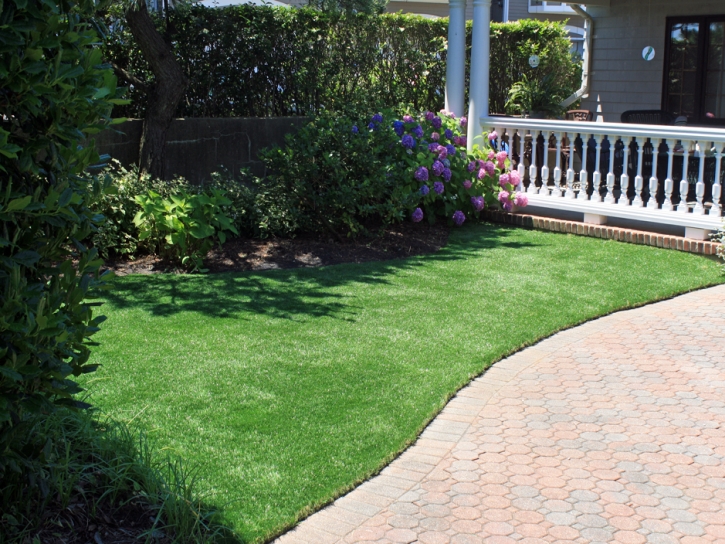 Grass Turf Roosevelt, Arizona Lawn And Garden, Front Yard Design