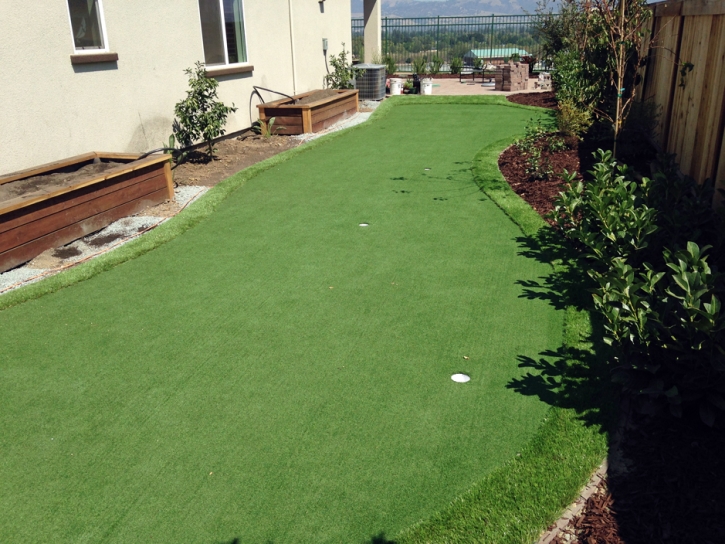 Grass Turf San Simon, Arizona Backyard Putting Green, Backyard Designs