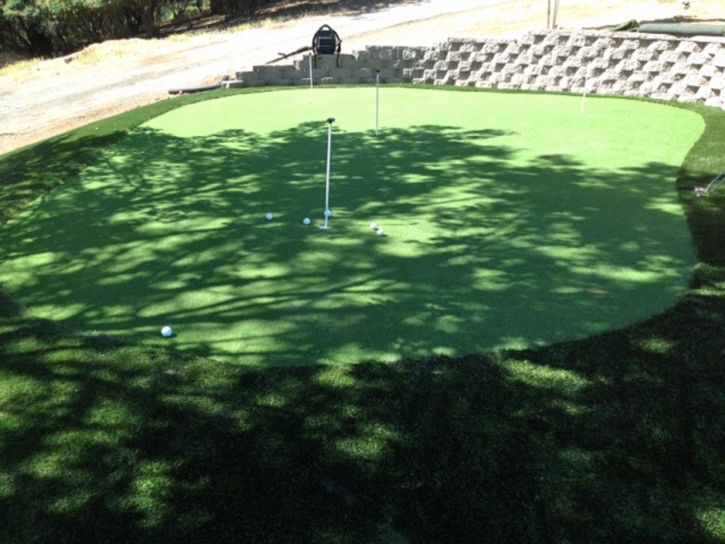 Grass Turf Vaiva Vo, Arizona Artificial Putting Greens, Backyards