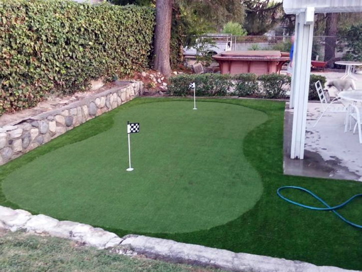 Green Lawn Catalina Foothills, Arizona Rooftop, Backyard Garden Ideas