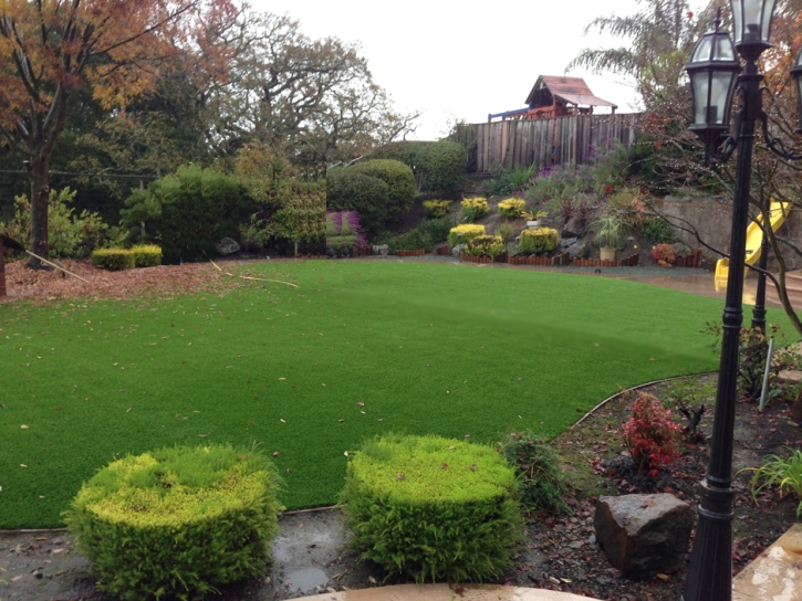 Green Lawn Vicksburg, Arizona Lawn And Landscape, Backyard