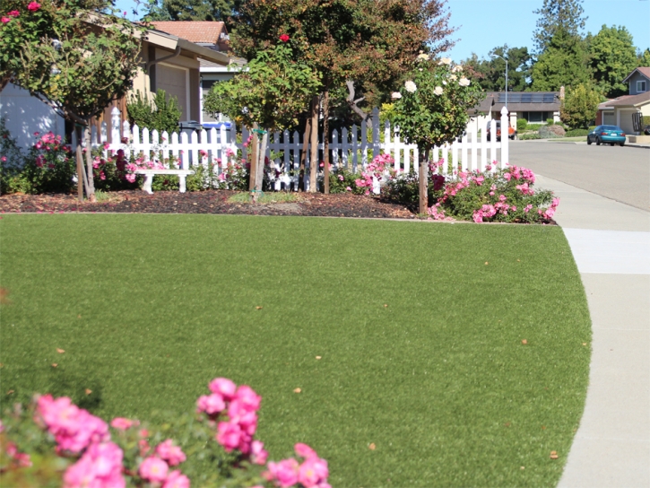 How To Install Artificial Grass Campo Bonito, Arizona Gardeners, Front Yard Design