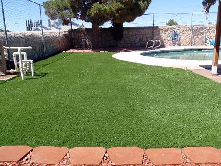 How To Install Artificial Grass Topock, Arizona Artificial Grass For Dogs, Natural Swimming Pools