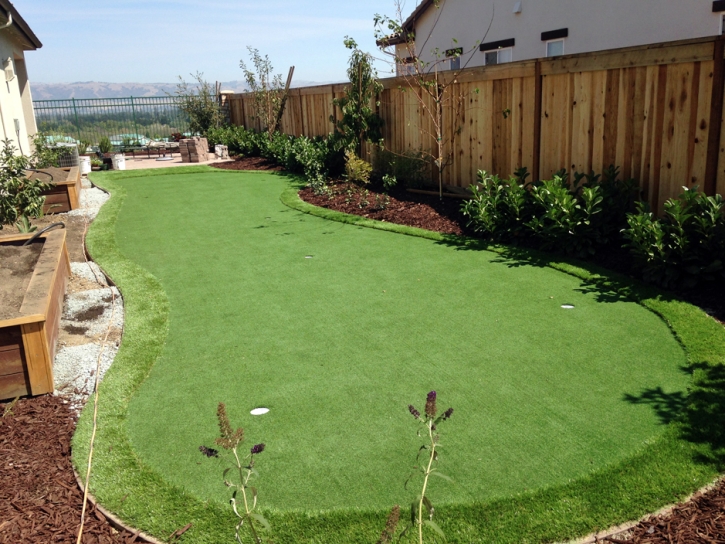 Installing Artificial Grass Goodyear, Arizona Lawn And Landscape, Backyard Landscaping Ideas