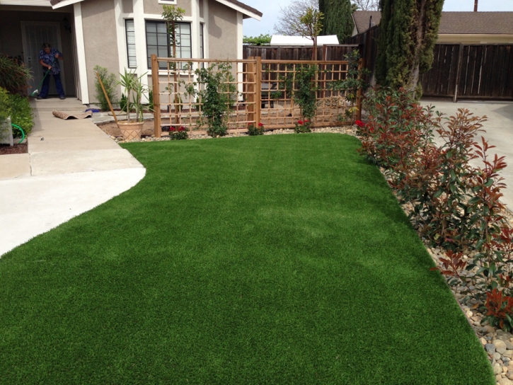 Installing Artificial Grass Nolic, Arizona Lawns, Front Yard Ideas