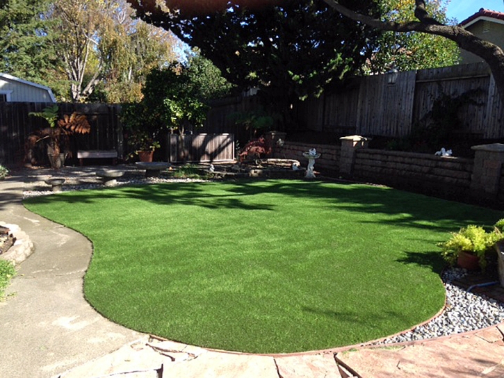 Installing Artificial Grass Rillito, Arizona Home And Garden, Backyard Landscape Ideas