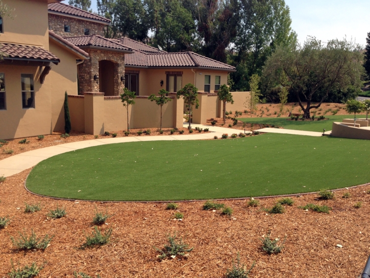 Lawn Services Ali Molina, Arizona Landscape Design, Front Yard Landscaping Ideas