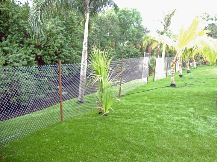 Lawn Services Kino Springs, Arizona City Landscape, Backyard Makeover