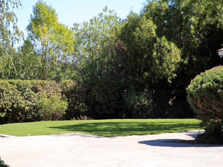 Lawn Services San Carlos, Arizona Dog Pound, Front Yard Landscape Ideas