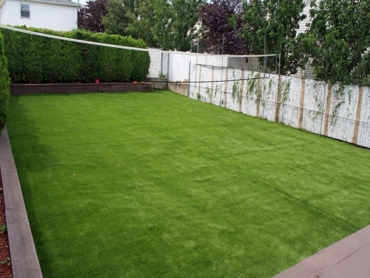 Lawn Services San Jose, Arizona Backyard Playground, Backyard Ideas