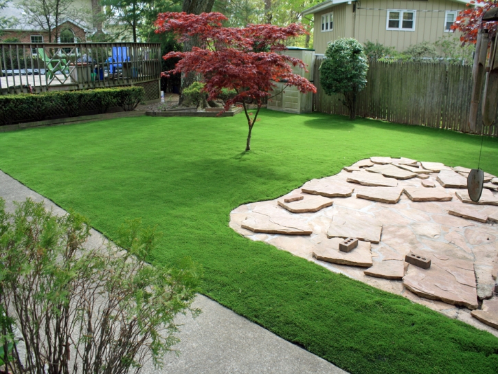 Lawn Services Valentine, Arizona Landscaping, Small Backyard Ideas