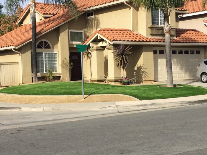 Outdoor Carpet Cactus Forest, Arizona Roof Top, Front Yard Landscaping Ideas