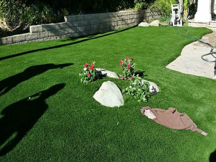 Outdoor Carpet Central Heights-Midland City, Arizona Landscape Rock, Front Yard Landscaping