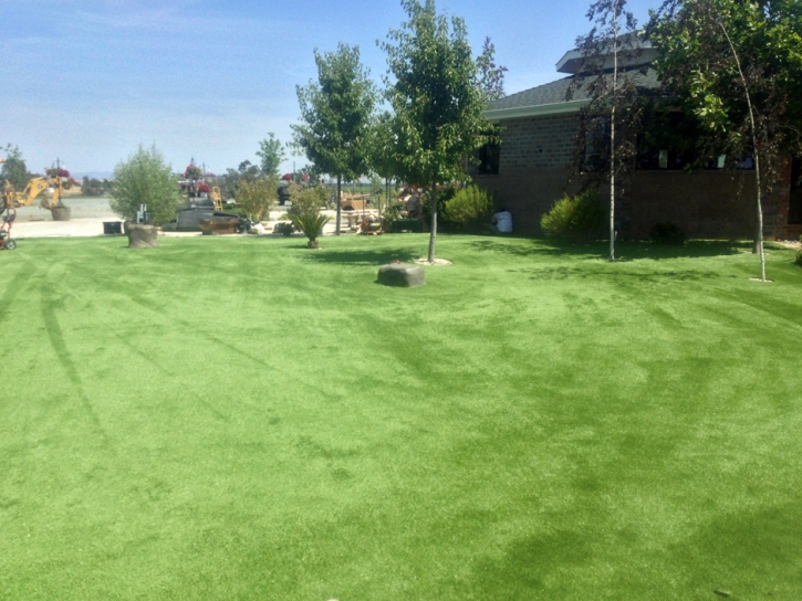 Outdoor Carpet Dewey-Humboldt, Arizona Grass For Dogs, Recreational Areas