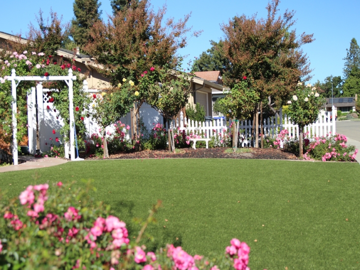 Outdoor Carpet East Fork, Arizona Backyard Playground, Front Yard