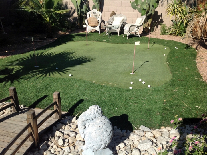 Outdoor Carpet Mesa del Caballo, Arizona Rooftop, Backyard Landscaping