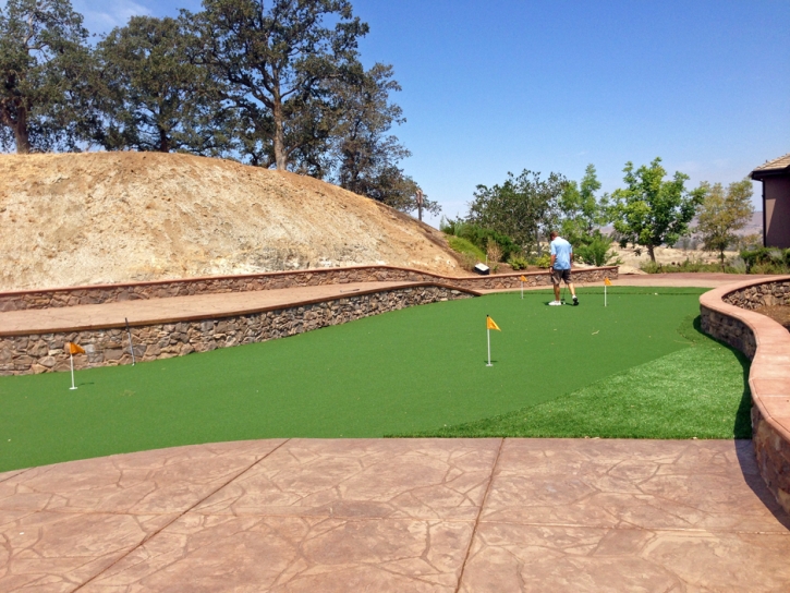 Outdoor Carpet Tempe, Arizona Putting Green Turf, Backyard