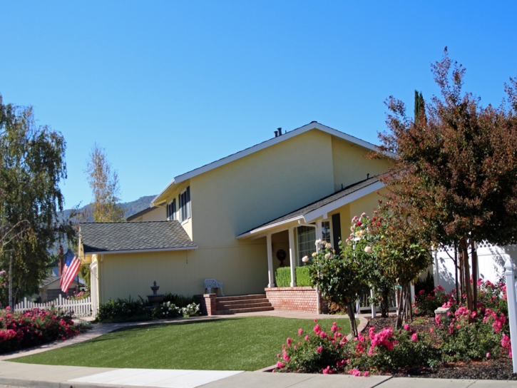 Outdoor Carpet Valentine, Arizona Landscape Ideas, Front Yard Landscaping