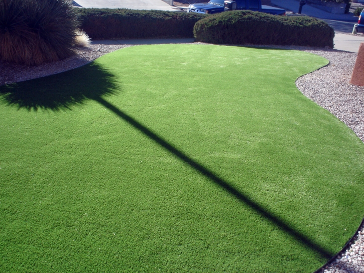 Plastic Grass Bouse, Arizona Landscaping Business, Front Yard Ideas