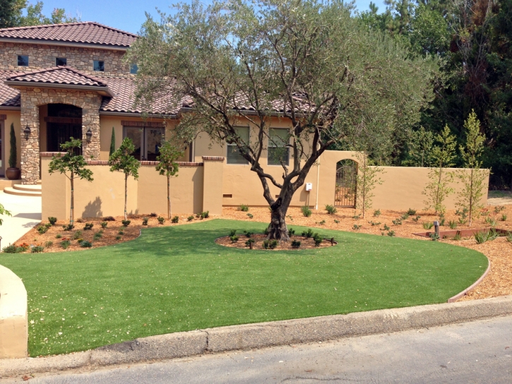 Plastic Grass Carrizo, Arizona City Landscape, Front Yard Landscaping