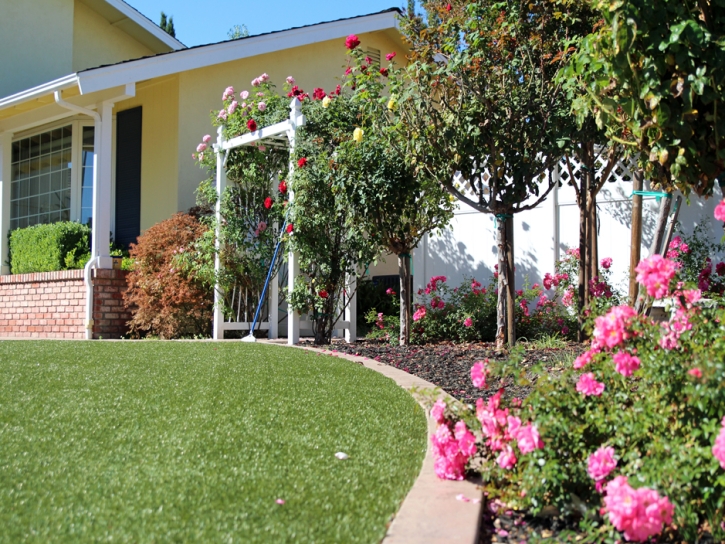 Plastic Grass Cutter, Arizona Landscape Rock, Front Yard Design