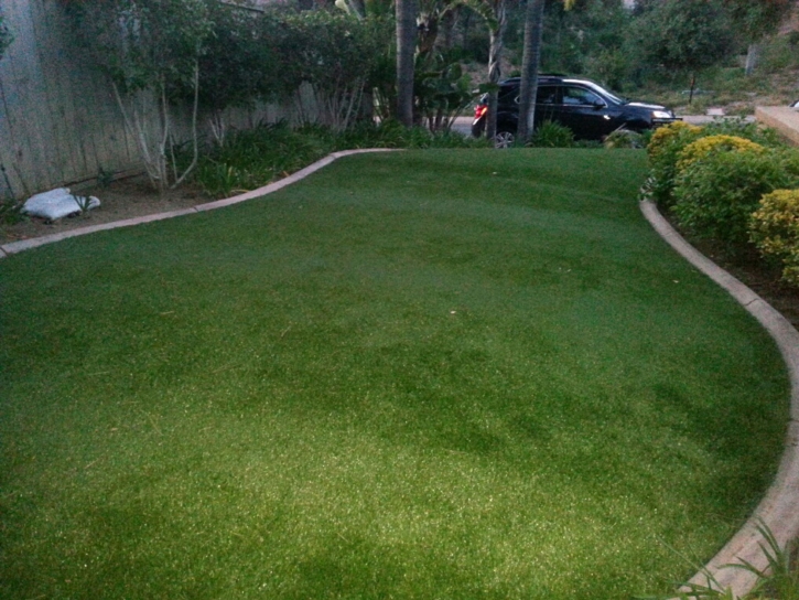 Plastic Grass Dateland, Arizona Lawn And Landscape, Landscaping Ideas For Front Yard