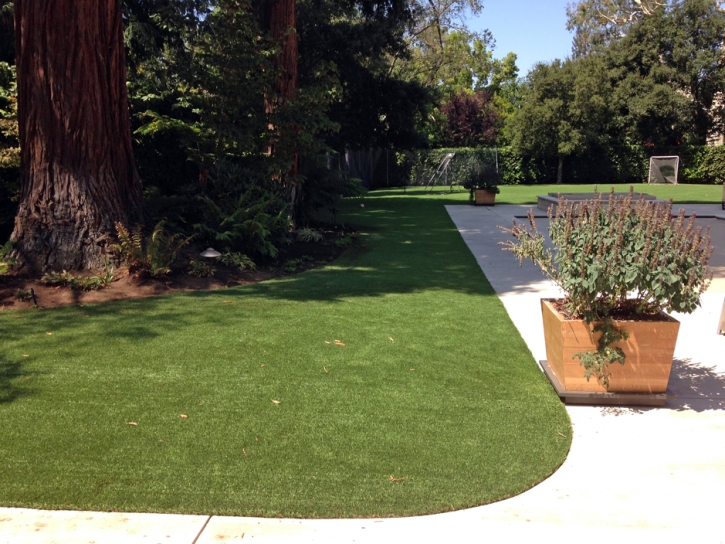 Plastic Grass Munds Park, Arizona Dog Grass, Front Yard Landscaping Ideas