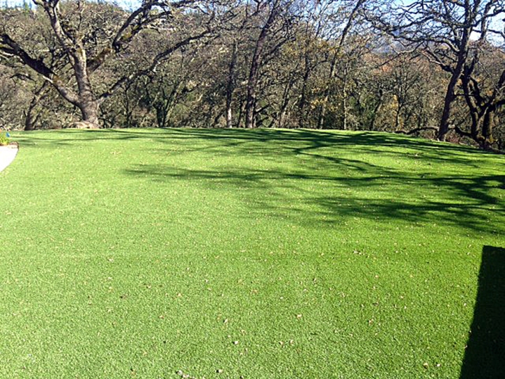 Plastic Grass Nelson, Arizona Landscape Ideas, Recreational Areas