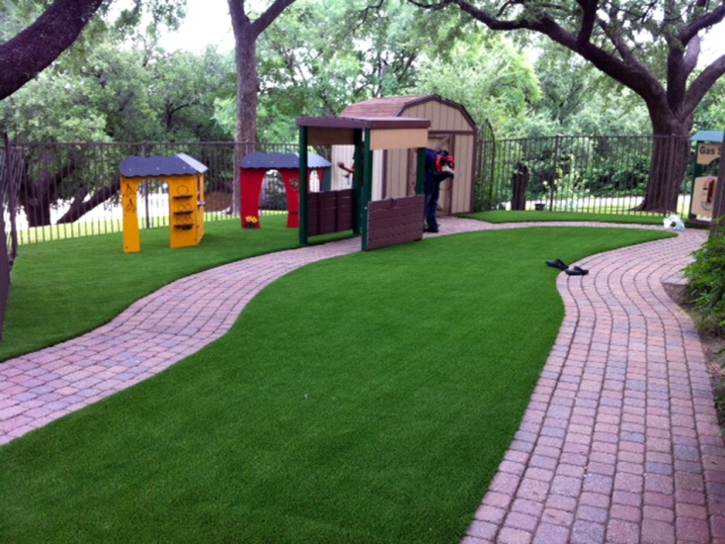 Plastic Grass San Carlos, Arizona Home And Garden, Commercial Landscape