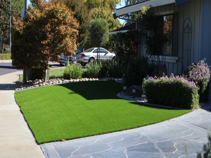 Plastic Grass Strawberry, Arizona Paver Patio, Front Yard Ideas