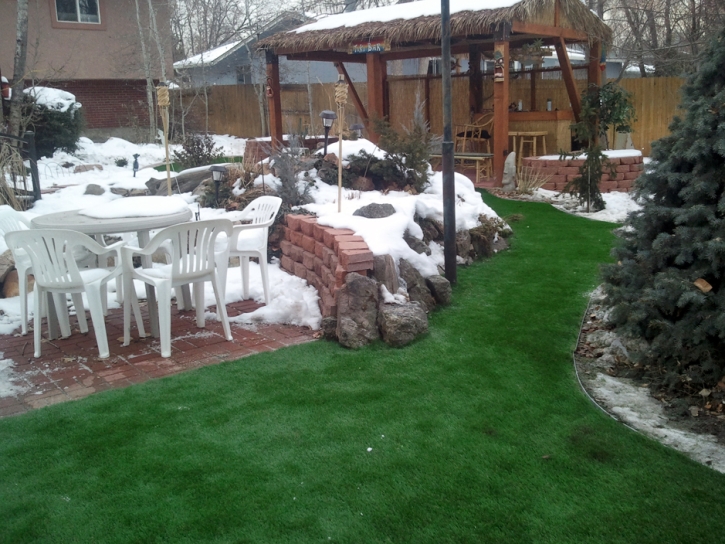 Plastic Grass Sun City, Arizona Garden Ideas, Backyard Garden Ideas