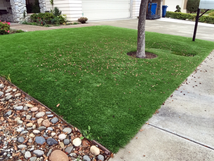 Plastic Grass Tempe Junction, Arizona Design Ideas, Landscaping Ideas For Front Yard